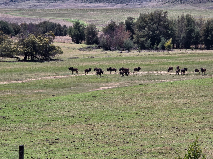 8 Bedroom Property for Sale in Bethlehem Rural Free State